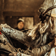 Photo: Daniel Sawyer Schaefer/Go2 Z 4/Syfy